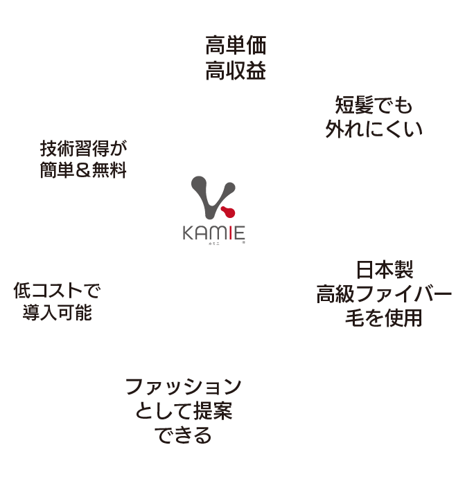 KAMIE導入サロン様の利点